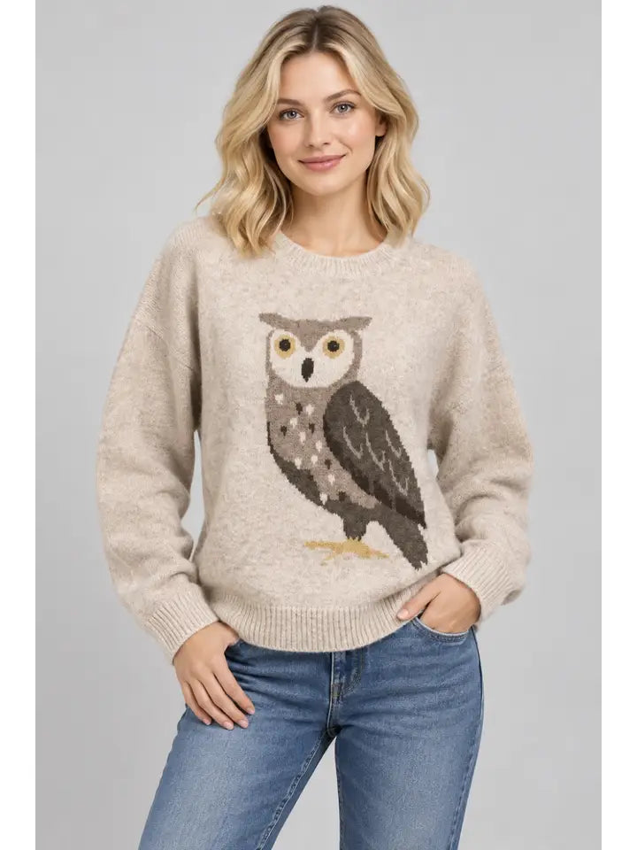 Knit Owl Sweater