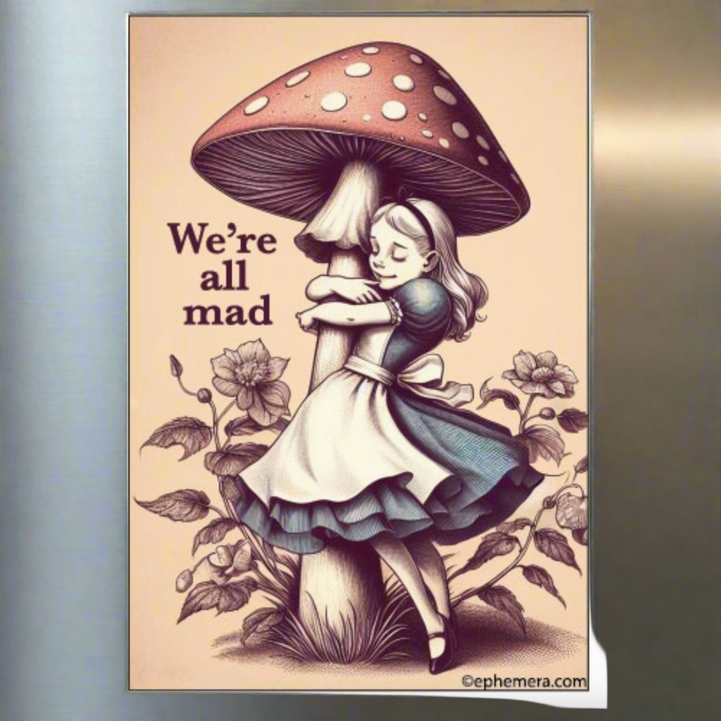 We're All Mad Magnet